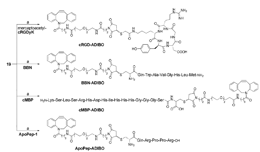 ADIBO가 도입된 peptide 전구체 합성 과정