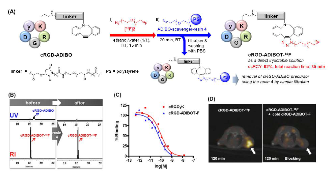 (A) Cu Free click chemistry를 이용한 RGD peptide 표지 및 정제방법 (B) HPLC 분석 결과 (C) In vitro 결과 (D) cRGD-ADIBOT-18F 의 microPET-CT image