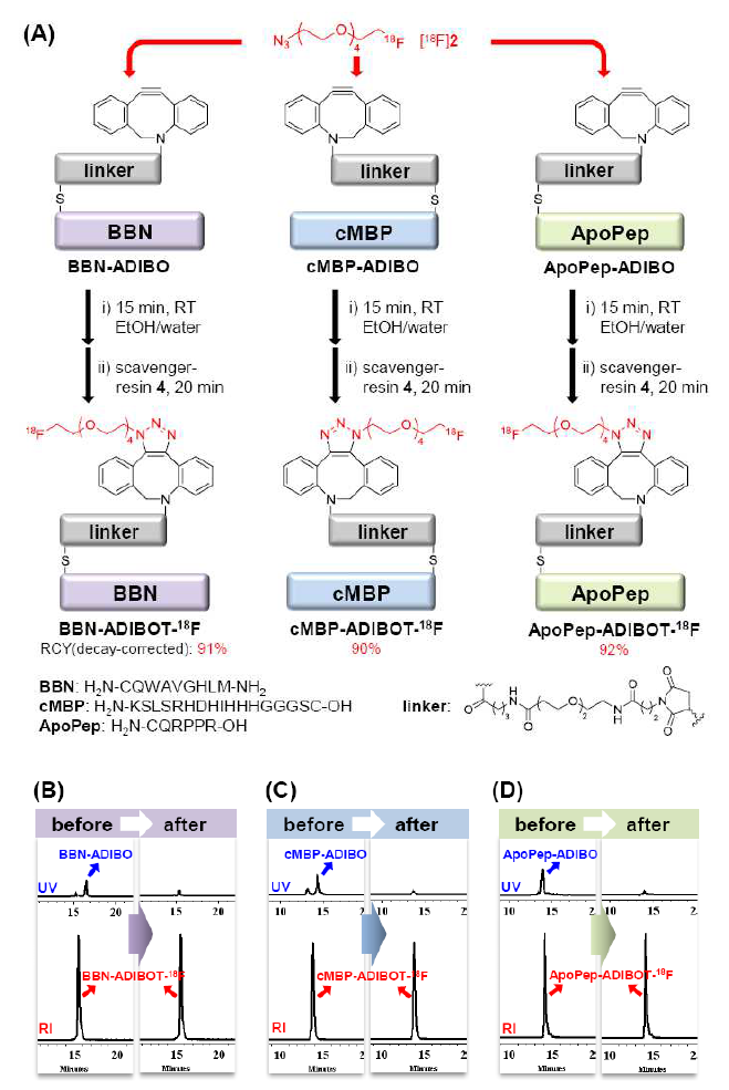 (A) 다양한 종류의 F-18이 표지된 peptide 합성 및 정제과정 (B-D) 3종류 F-18 표지 peptide의 HPLC 분석 결과