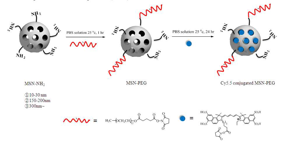 MSN 나노 입자의 합성과정 모식도