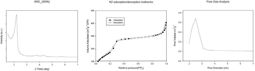 MSN의 XRD와 Pore Size 측정