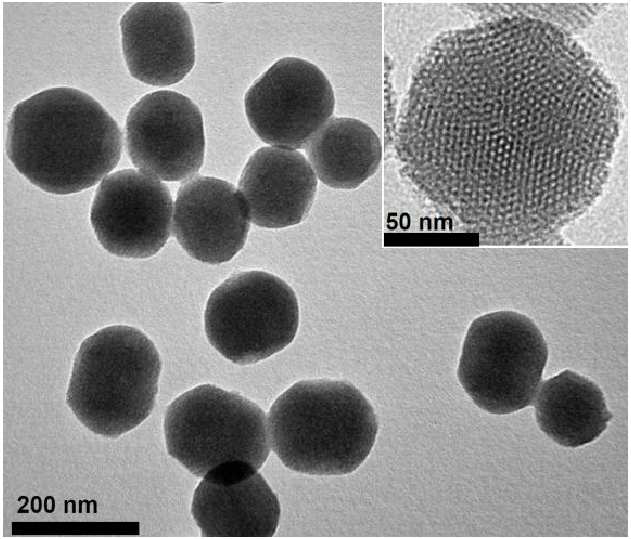 MSN 나노 입자의 TEM 사진 (100~150nm)