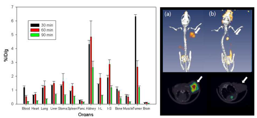 cRGD2-PEG-ADIBOT-18F를 이용한 blocking study; biodistribution과 PET/CT 영상