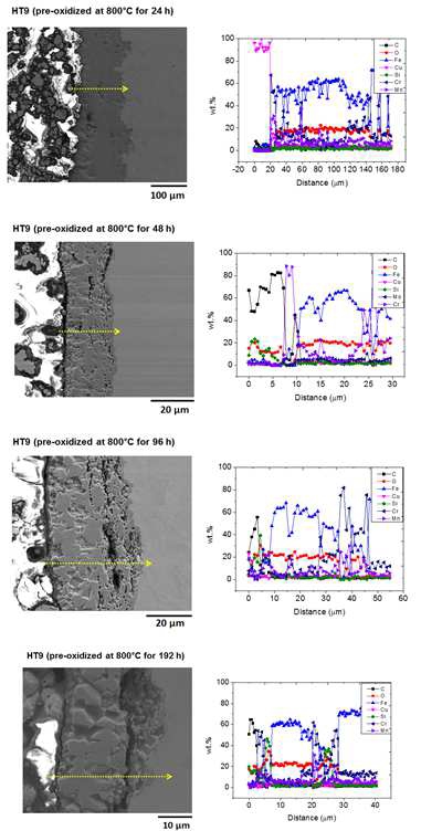 800도 대기 환경에서 각 각 24시간, 48시간, 96시간 및 192시간 동안 pre-oxidation 된 HT9강의 표면 SEM 사진 및 EDS 분석 결과 그래프