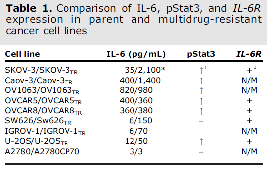 종양 세포주와 항암제 내성 세포주들에서 인터루킨-6 발현량 비교