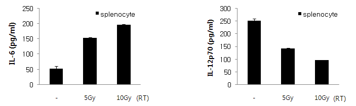 방사선 조사에 의한 비장세포에서의 IL-6, IL-12 발현량
