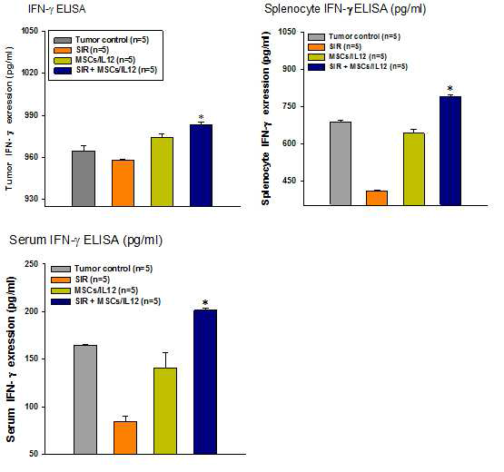 방사선 조사와 MSCs/IL12의 병행 처리에 의한 종양 미세환경 내 인터 페론 감마의 증가. SIR: 10 Gy single irradiation