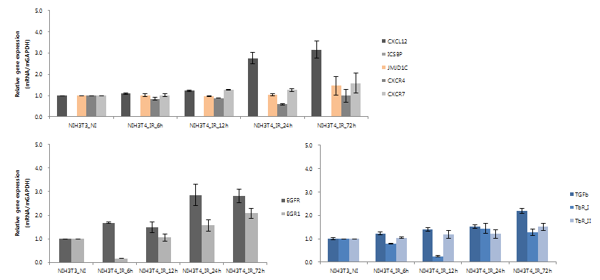 방사선 조사 후, NIH3T3 세포에서 CXCL12 유전자를 포함한 다양한 유전자들의 발현 변화 양상