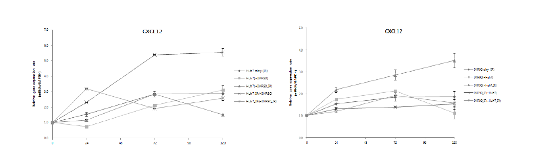 방사선 조사 이후 공배양된 Huh7 암세포주 및 IMR90 정상세포에서의 CXCL12 유전자의 발현정도 분석