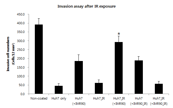 방사선 조사 전후 Huh7 암세포주의 침윤 정도 분석