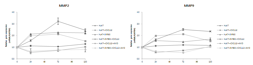 Recombinant CXCL12 및 AMD3100 처리에 따른 MMP-2, -9의 발현 변화 분석