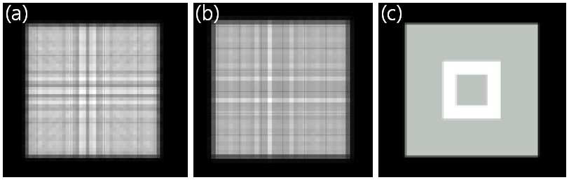 (a) pixel-driven 방법, (b) ray-driven 방법, (c) distance-driven 방법을 이용하여 획득한 프로젝션 영상