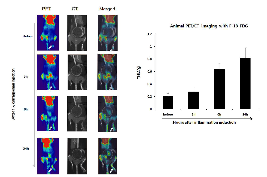 PET/CT imaging with F-18 FDG in CG-injected mice