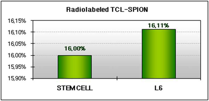 124I-TCL-SPION을 이용한 지방유래줄기세포 표지 수율