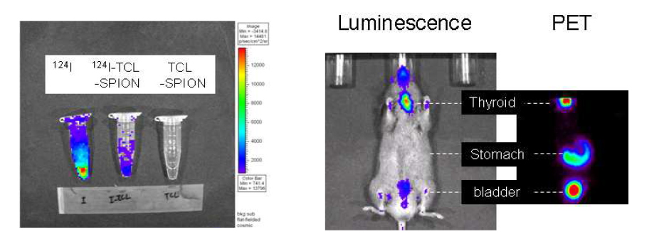 Luminescence light come from radionuclide