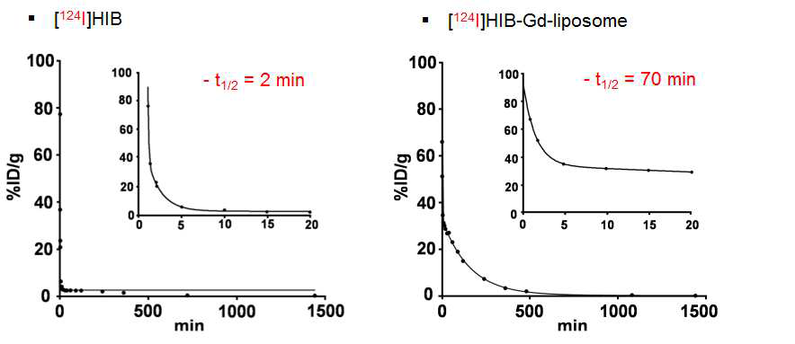 HIB와 HIB가 표지된 리포좀의 혈액 내 반감기 비교