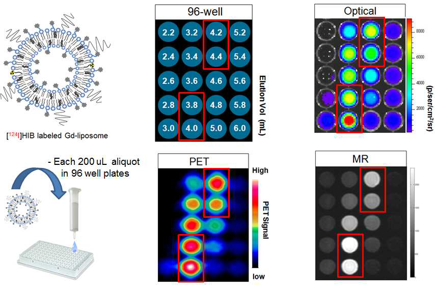광학, 핵의학, 자기공명영상에서의 in vitro imaging