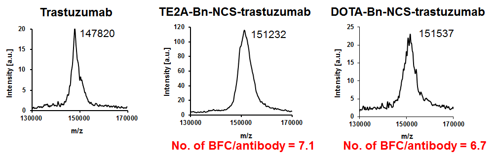 Trastzumab과 TE2A-Bn-NCS-trastuzumab, DOTA-Bn-NCS-trastuzum Ab 에 대한 Mass analysis