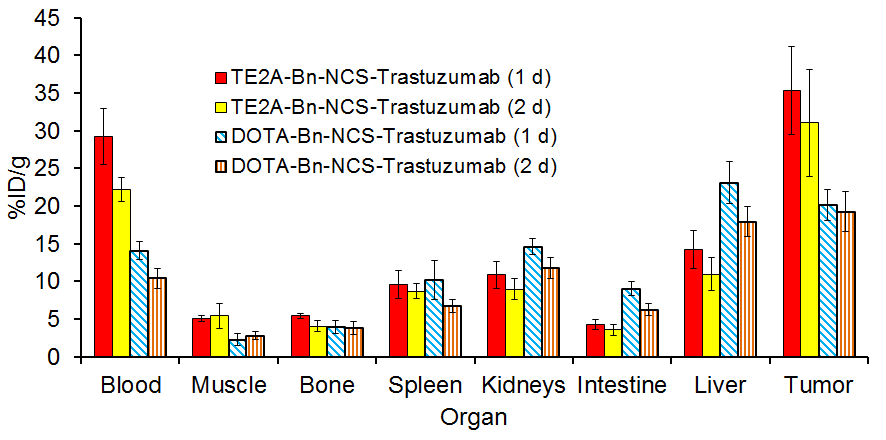 Cu-64가 표지된 TE2A-Bn-NCS-trastuzumab과 DOTA-Bn-NCS-trastuzu mab에 대한 생체분포확인 실험 결과