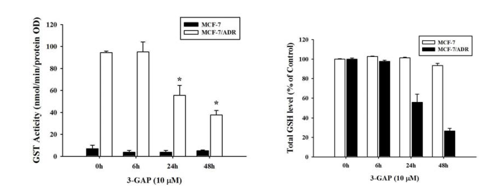 MCF-7 및 MCF-7/ADR 세포에서 3-GAP에 의한 GST 활성 및 전체 GSH level의 효과