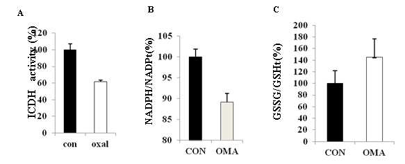 B16F10 종양동물모델에서 종양조직의 산화환원상태에 미치는 oxalomalate의 효과