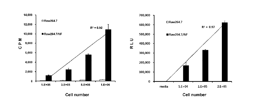 리포터 유전자 활성 측정(왼쪽) I-125 uptake (오른쪽) luciferase assay