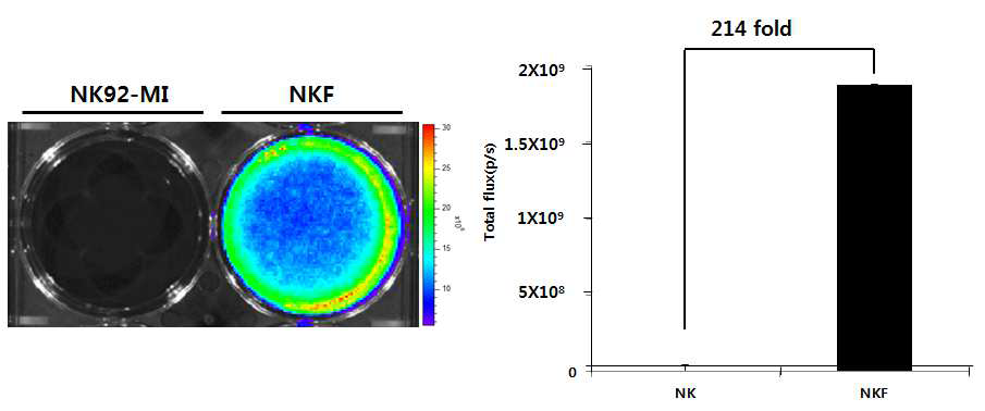 in vitro BLI imaging of NK92MI/effluc
