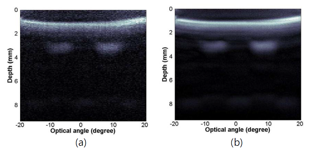 (a) 100 pixels의 5번 평균한 A-스캔 데이터들로부터 얻어지는 GFRP 시험편의 B-스캔 영상. (b) 200 pixels의 50번 평균한 A-스캔 데이터들로부터 얻어 지는 GFRP 시험편의 B-스캔 영상.