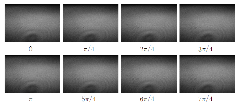 변형전 8-Step Phase Image