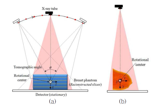 DBT scan geometry: (a) front view, (b) side view