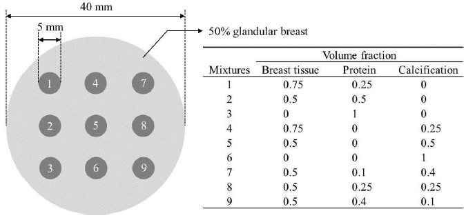 물질분리 검증을 위해 모사된 팬텀. 다양한 volume fraction을 갖 는 세 가지 물질이 조합된 혼합물이 50% glandularity를 갖는 유방 조직에 삽 임됨.