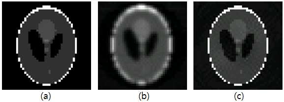 (a) 단층영상 재구성을 위한 기준영상, (b) 필터링후역투영기법과 Ram-Lak 필터를 사용하여 재구성한 단층영상, (c) 반복적재구성기법을 사용 하여 재구성한 단층영상
