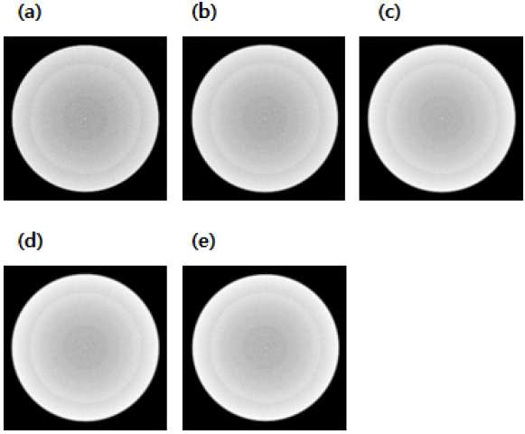 FDK 알고리듬을 이용한 CTP486 모듈에 대한 재구성 영상. (a) Ram-Lak 필터, (b) Shepp-Logan 필터, (c) Cosine 필터, (d) Hamming 필터, (e) Hann 필터를 이용해 재구성한 영상