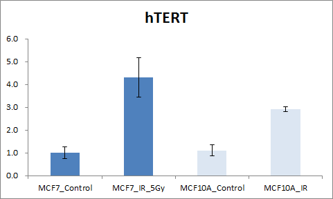 방사선 조사 후 정상 세포주 (MCF10A)와 암세포주 (MCF7)에서의 hTERT promoter 영역의 후성 유전적 변화