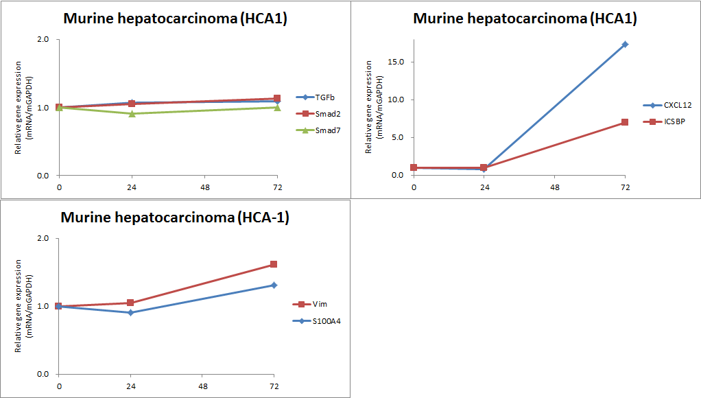 방사선 조사 후 HCA1 (murine hepatocarcinoma)의 유전자 발현 변화