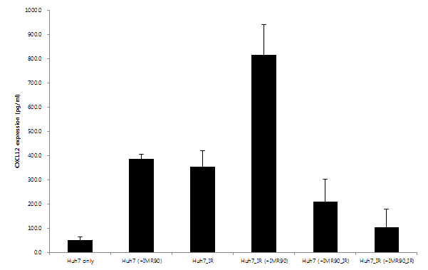 CXCL12 특이적 ELISA assay로 분석한 CXCL12 단백질의 발현 정도