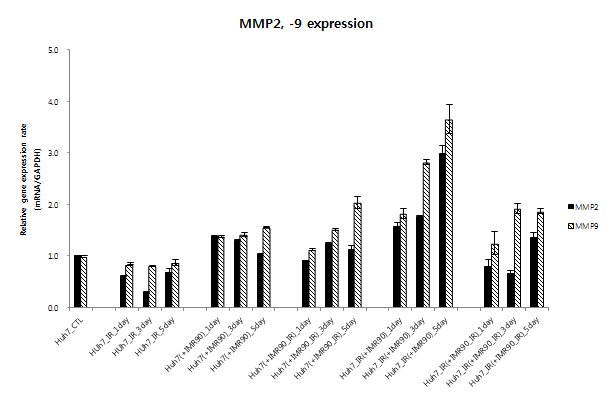 방사선 조사 전후 MMP-2 및 MMP-9의 발현 분석