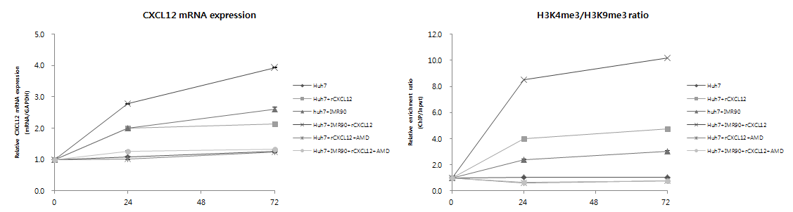 Recombinant CXCL12 및 AMD3100 처리시 유도되는 CXCL12 발현 및 histone modification 변화 분석