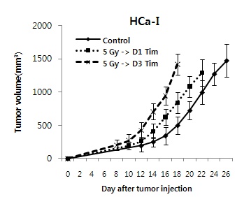 HCa-1 세포를 심기 1일전 (5 Gy -> D1 Tim)과 3일전(5 Gy -> D3 Tim)에 tumor bed 에 방사선 (5 Gy)을 조사한 후의 성장 곡선