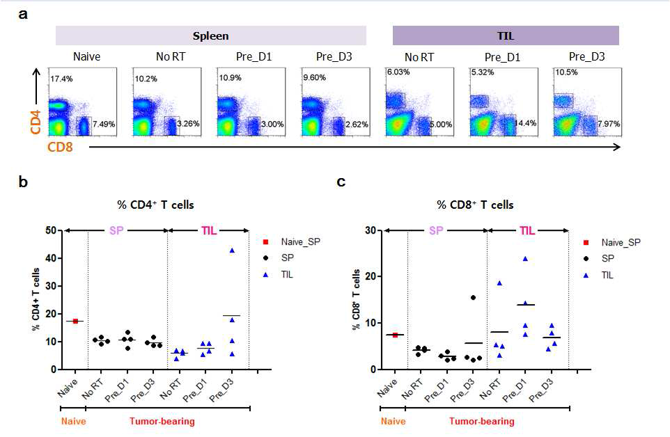 종양미세환경에서 CD4 및 CD8 T 세포의 빈도