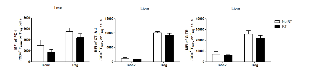 종양미세환경 내 Tconv 또는 Treg에서 방사선 후처리에 따른 PD-1, CTLA-4, GITR 발현 정도