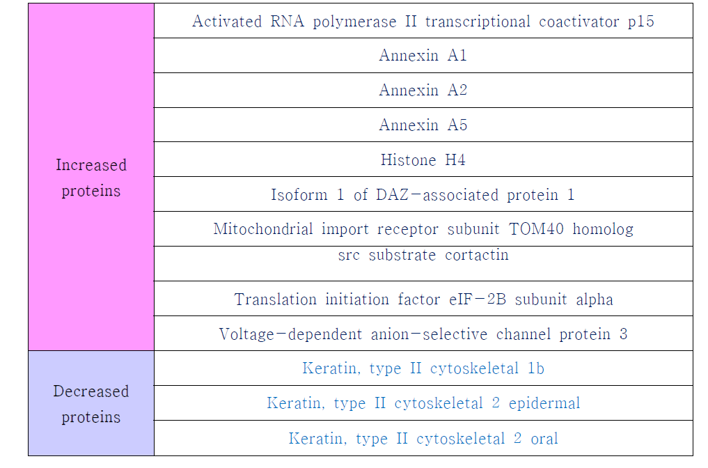 Common proteins in between CT-26 and B16F10 cells