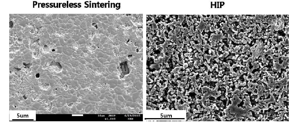 SEM morphologies of different processed of sintered Synroc-C