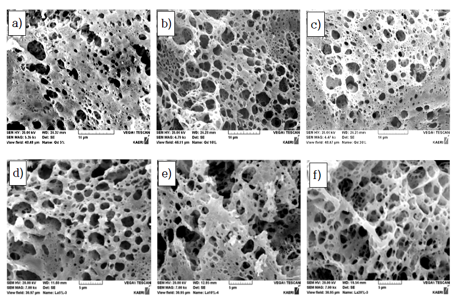 SEM results of the as-synthesized powder with various of Gd, La content on CaTiO3