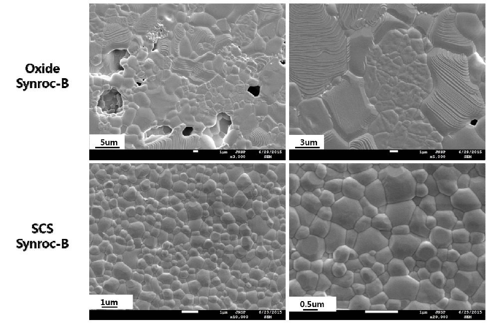 SEM morphologies of different synthesized of sintered Synroc-B