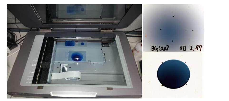 Flat-bed type film scanner(좌), 양성자 빔을 조사한 film을 color scan한 모습