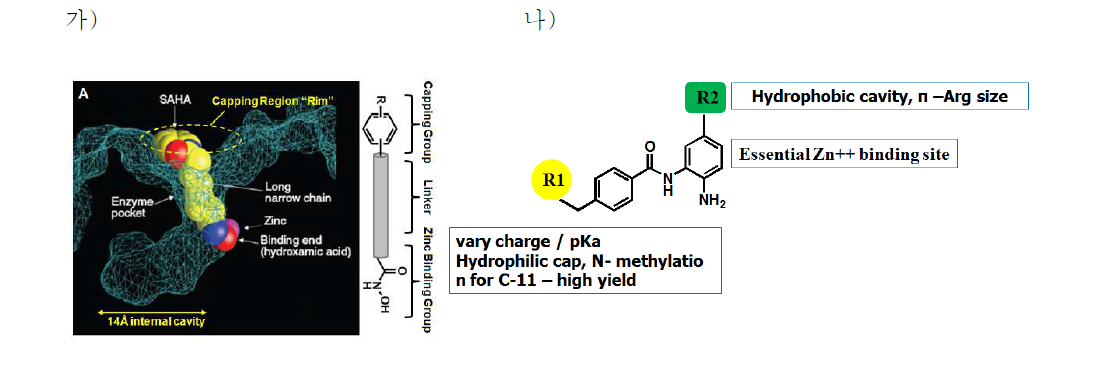 가). HDAC 엔자임 활성 부분과 SAHA 약물과의 결합 구조. 나). 이젓표지 Benzamide 약물의 디자인전략