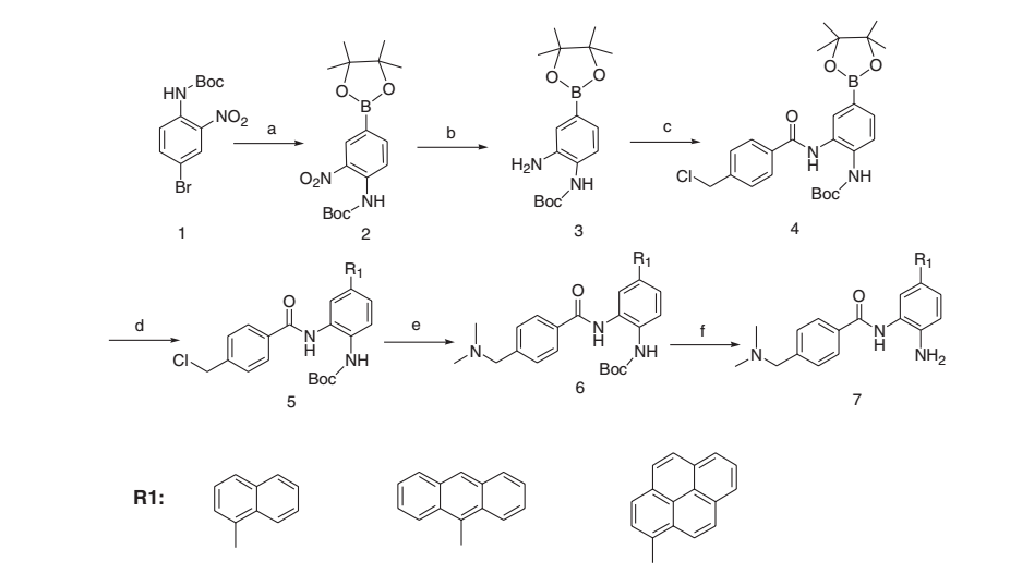 이중표지가 가능한 Benzamide 화합물의 합성 전략