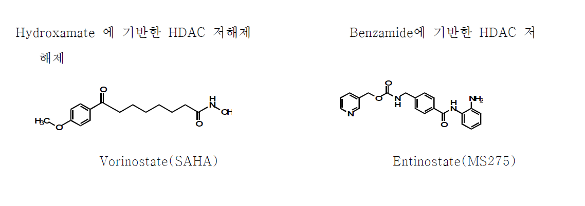 두가지 대표적인 HDAC 저해제의 구조