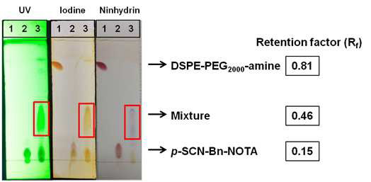 TLC를 이용한 NOTA와 지질 결합물 분석. DSPE-PEG2000-amine, p-SCN-Bn-NOTA 그리고 DSPE-PEG2000-amine과 p-SCN-Bn-NOTA 의 결합물을 TLC에 점적하여 용매(chloroform:methanol:water = 65:25:4) 내에서 전개한 후 UV, iodine, ninhydrin을 이용하여 분석함. 1; DSPE-PEG2000-amine, 2; p-SCN-Bn-NOTA, 3; DSPE-PEG2000-amine과 p-SCN-Bn-NOTA 결합물, 사각형은 DSPE-PEG2000-amine과 p-SCN-Bn-NOTA의 결합물을 표시함